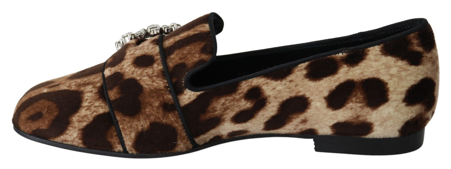 Dolce &amp; Gabbana Leopard Print Crystal Embellished Loafers