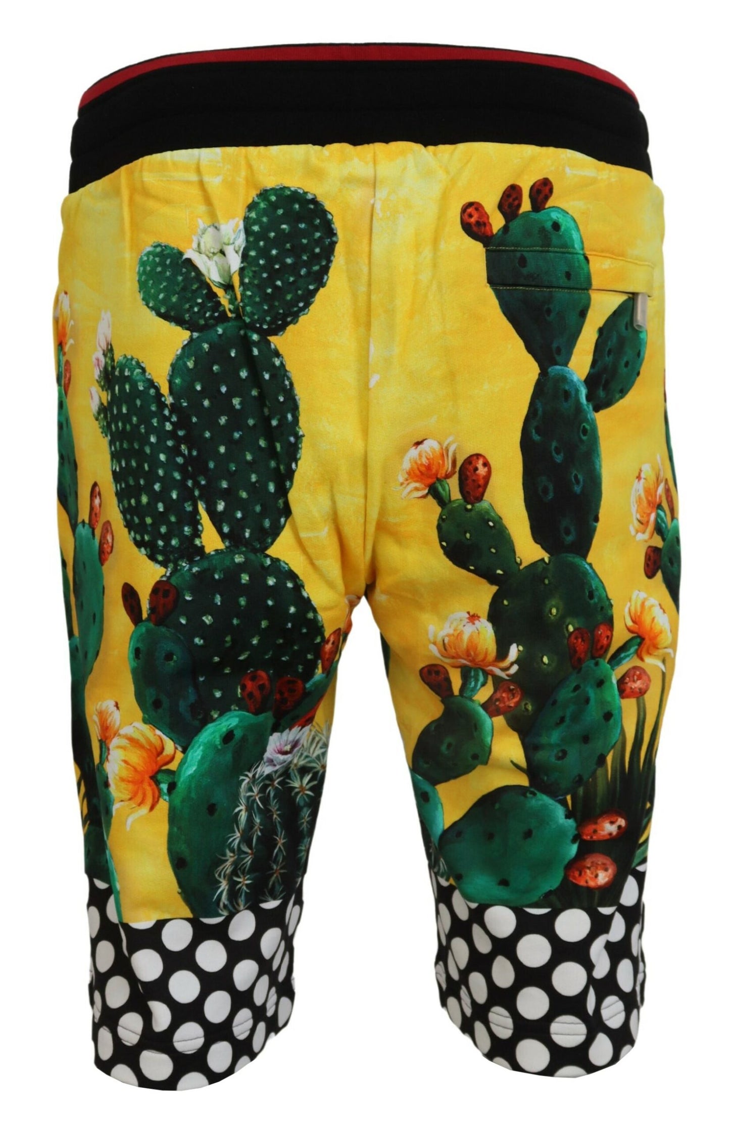 Dolce &amp; Gabbana Multicolor Cactus Print Sweat Shorts